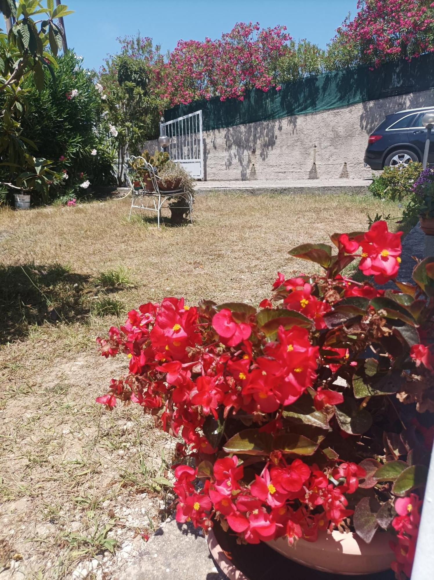 Villa Giardino Degli Oleandri Palinuro Luaran gambar