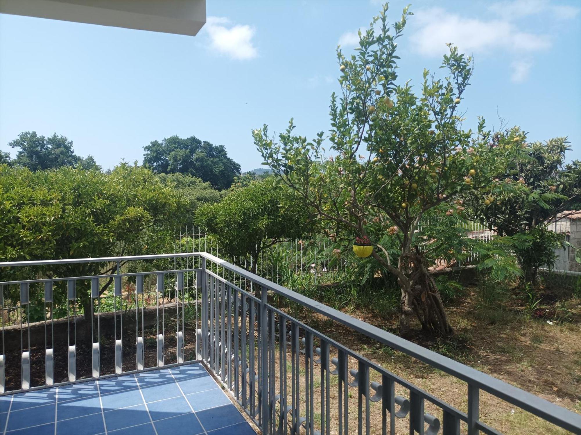 Villa Giardino Degli Oleandri Palinuro Luaran gambar