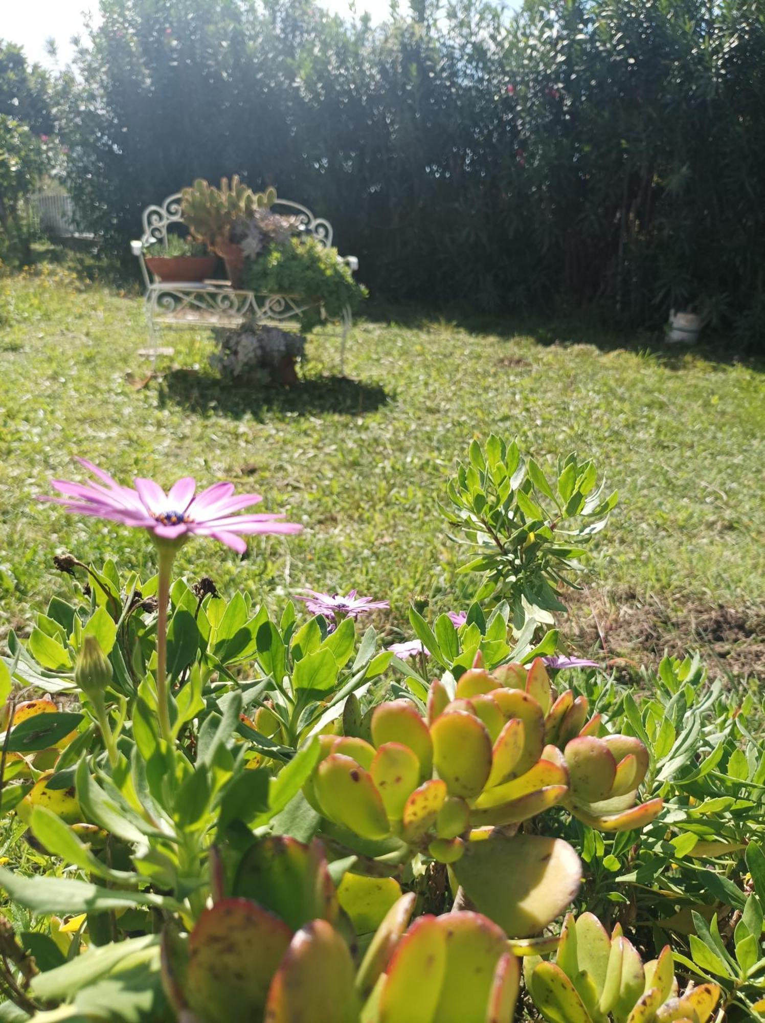 Villa Giardino Degli Oleandri Palinuro Luaran gambar